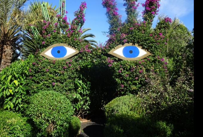 ANIMA Magical Garden Experience