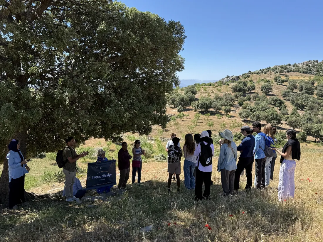 Community Impact 2 Travellers meeting a cooperative under an olive tree in the Rif mountains