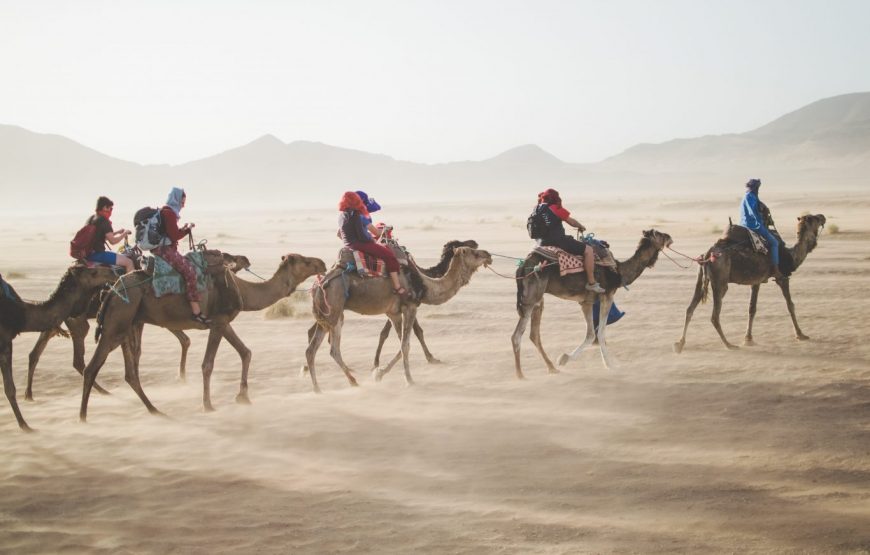 Experience a Night in the Majestic Sahara